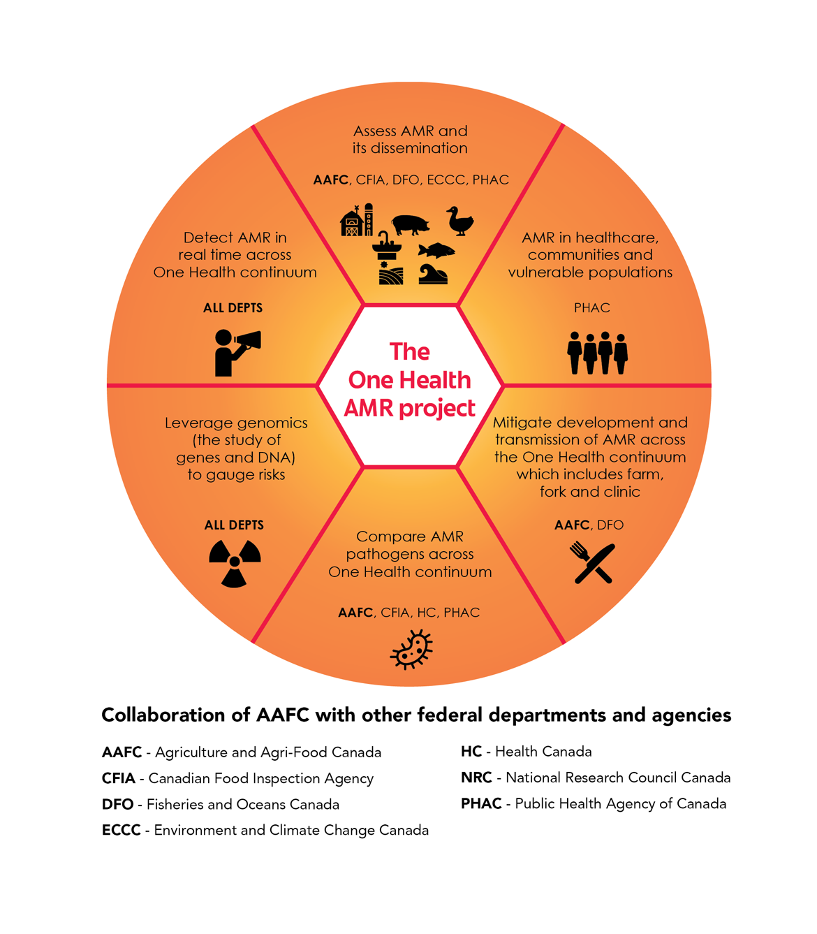 Figure 1. A diagram of the 6 themes of the AMR project showing the government departments and agencies working on each one. Text version below.