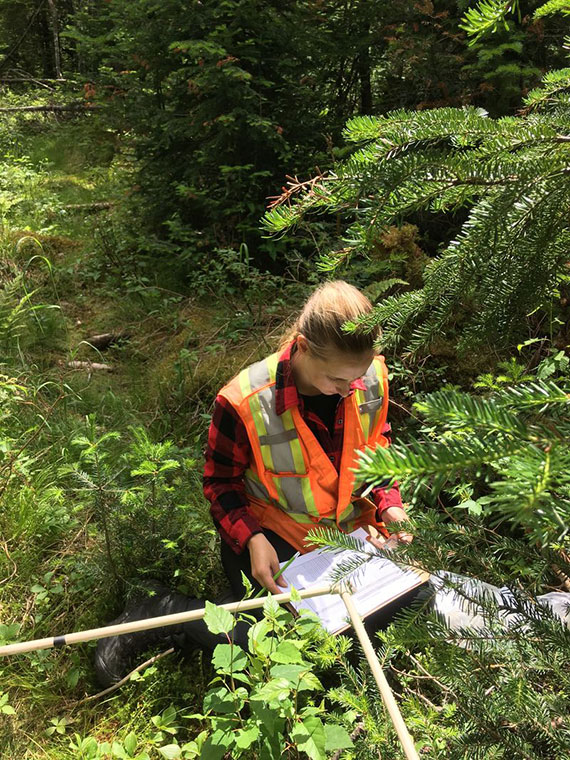 Woman wearing a construction vest surrounded by trees while taking measurements of her surroundings