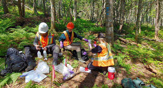 Three people in hard hats and construction vests sitting in the forest with backpacks surrounding them while they examine samples taken from the forest